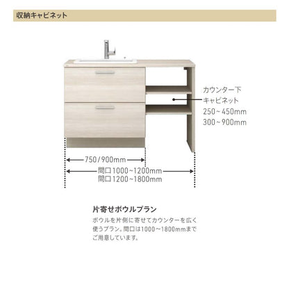 TOTO 洗面化粧台 ドレーナ 間口1000-1800mm 2段引き出し 広ふかボウル 片寄せボウルプラン