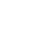 Merit 01
