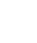 Merit 03